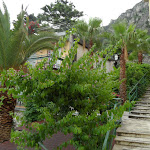 Photo n°4 de l'avis de Jens.o fait le 25/06/2018 à 13:42 sur le  Hotel Cristina à Limone Sul Garda