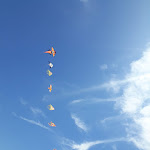 Photo n°4 de l'avis de Isabella.u fait le 18/08/2019 à 11:58 sur le  Ultimaspiaggia à Capalbio