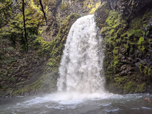 National Forest «Umpqua National Forest», reviews and photos, 1121 Houser Ct, Idleyld Park, OR 97447, USA