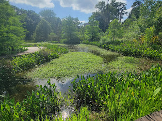 Arboretum Lake