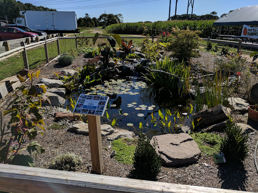 Farm «Four Town Farm», reviews and photos, 90 George St, Seekonk, MA 02771, USA