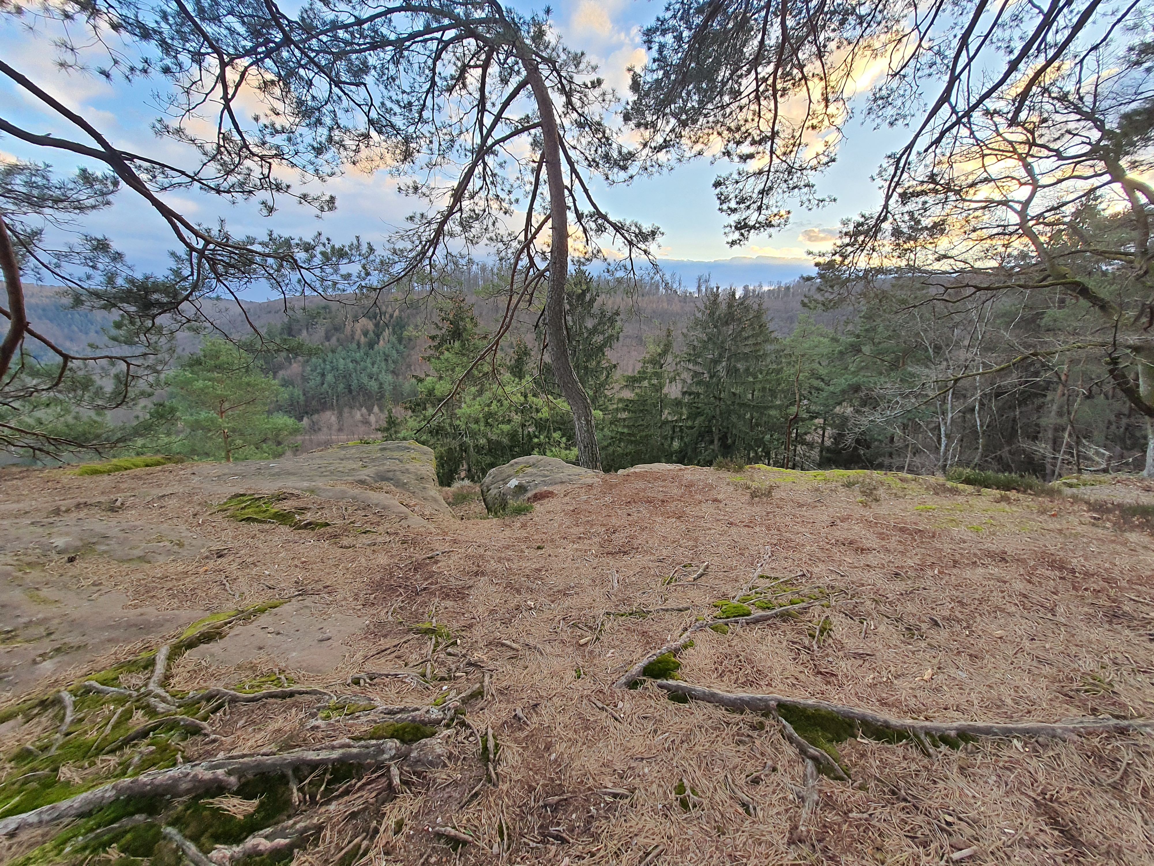 Photo n° 21 de l'avis de Fabili.2467. fait le 27/02/2023 à 19:46