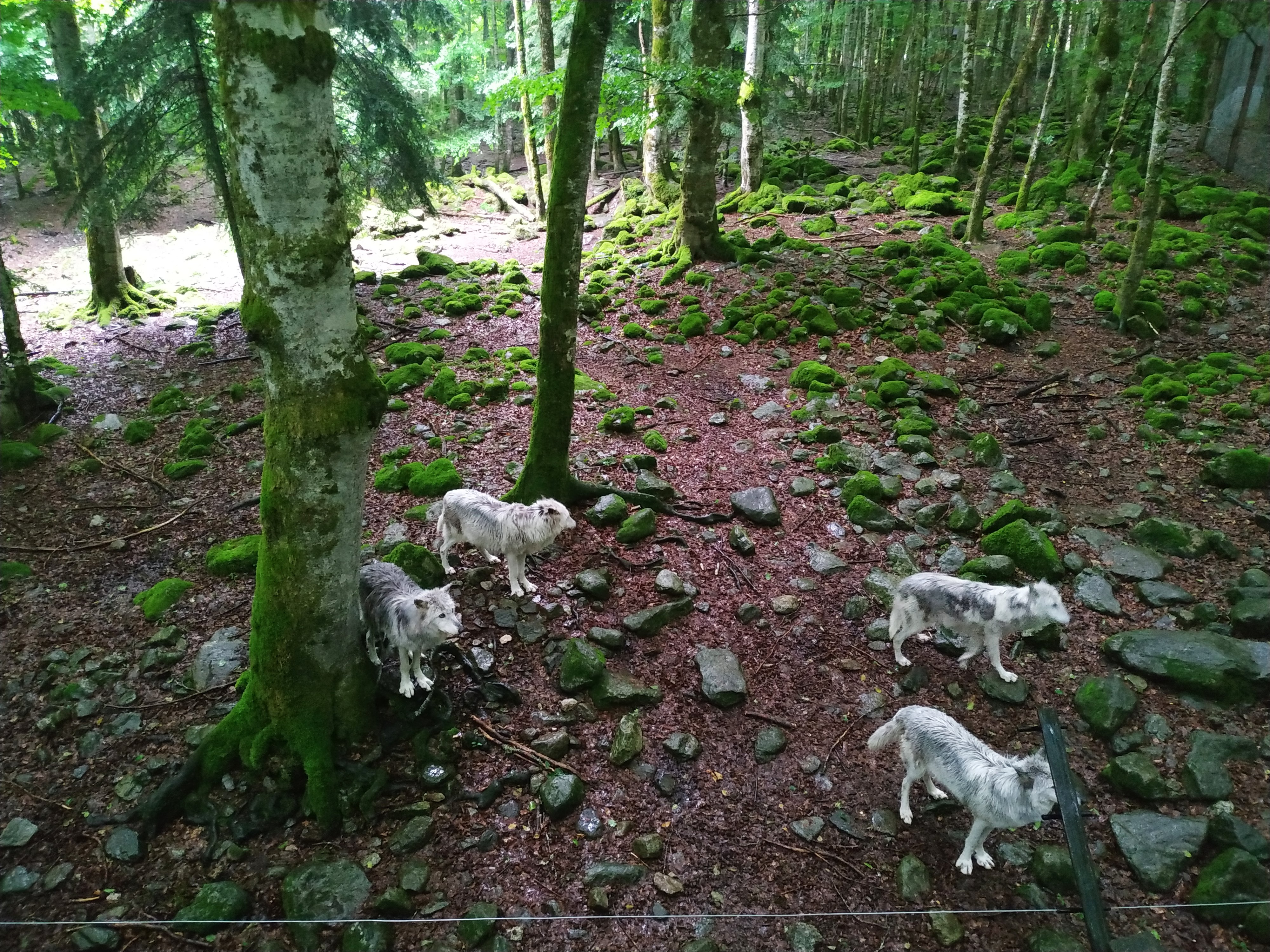 Photo n° 1 de l'avis de Wg.e fait le 20/06/2021 à 15:06