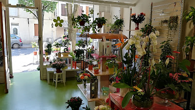 Julie Fleurs à Carmaux
