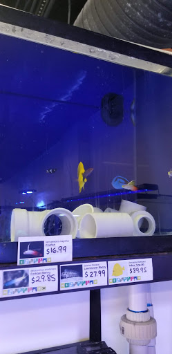 Tropical Fish Store «Reef eScape», reviews and photos, 11141 Lee Hwy, Fairfax, VA 22030, USA