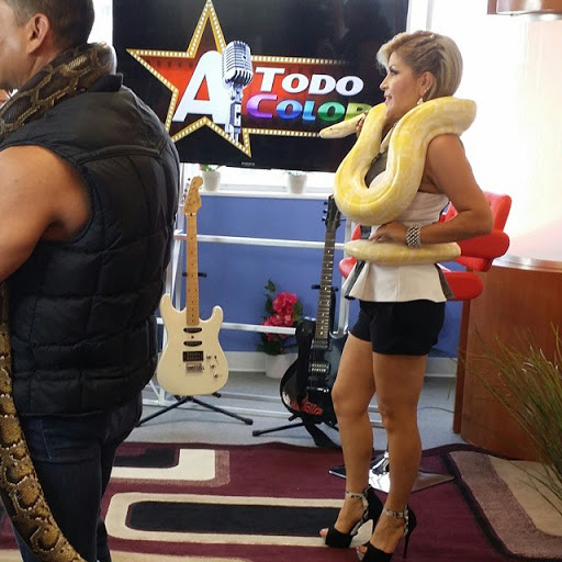 Reptile Store «Paramount Pet Entertainment - Reptile Parties & more!», reviews and photos, 8055 Rosecrans Ave #107, Paramount, CA 90723, USA