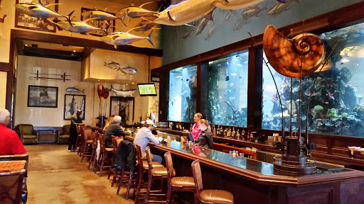 Sporting Goods Store «Bass Pro Shops», reviews and photos, 11550 Lakeridge Pkwy, Ashland, VA 23005, USA