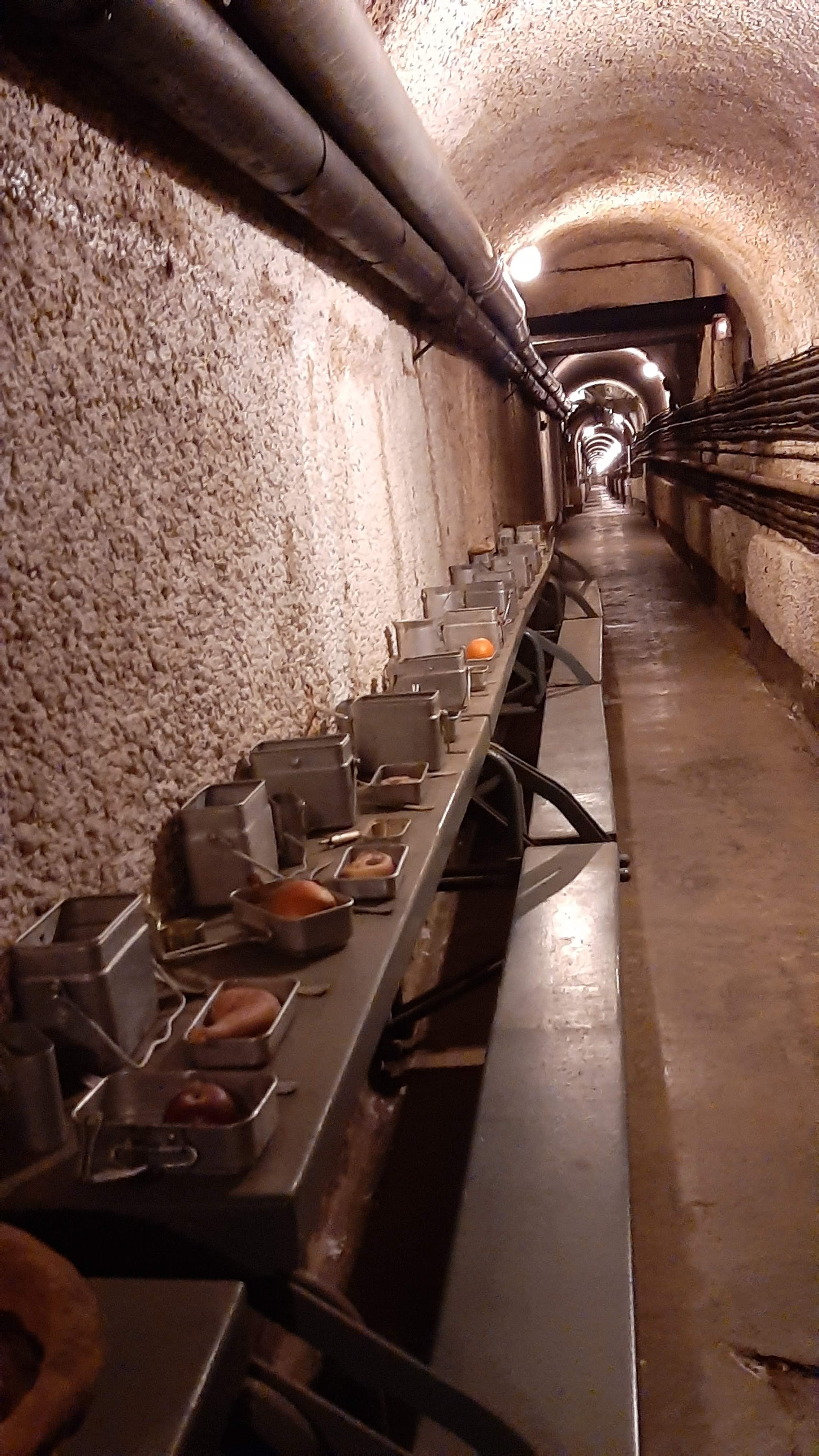 Photo n° 39 de l'avis de Raymond.e fait le 30/08/2020 à 13:53