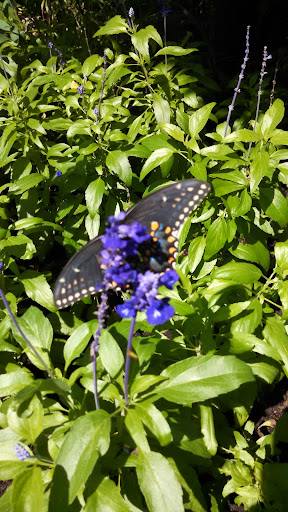 Gift Shop «Minnesota Zoo Gift Shop», reviews and photos, 13000 Zoo Blvd, Apple Valley, MN 55124, USA