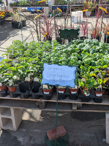 Hardware Store «Antioch Ace Hardware», reviews and photos, 501 Sunset Dr, Antioch, CA 94509, USA