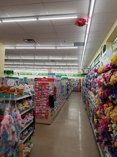 Dollar Store «Dollar Tree», reviews and photos, 4101 Dempster St, Skokie, IL 60076, USA