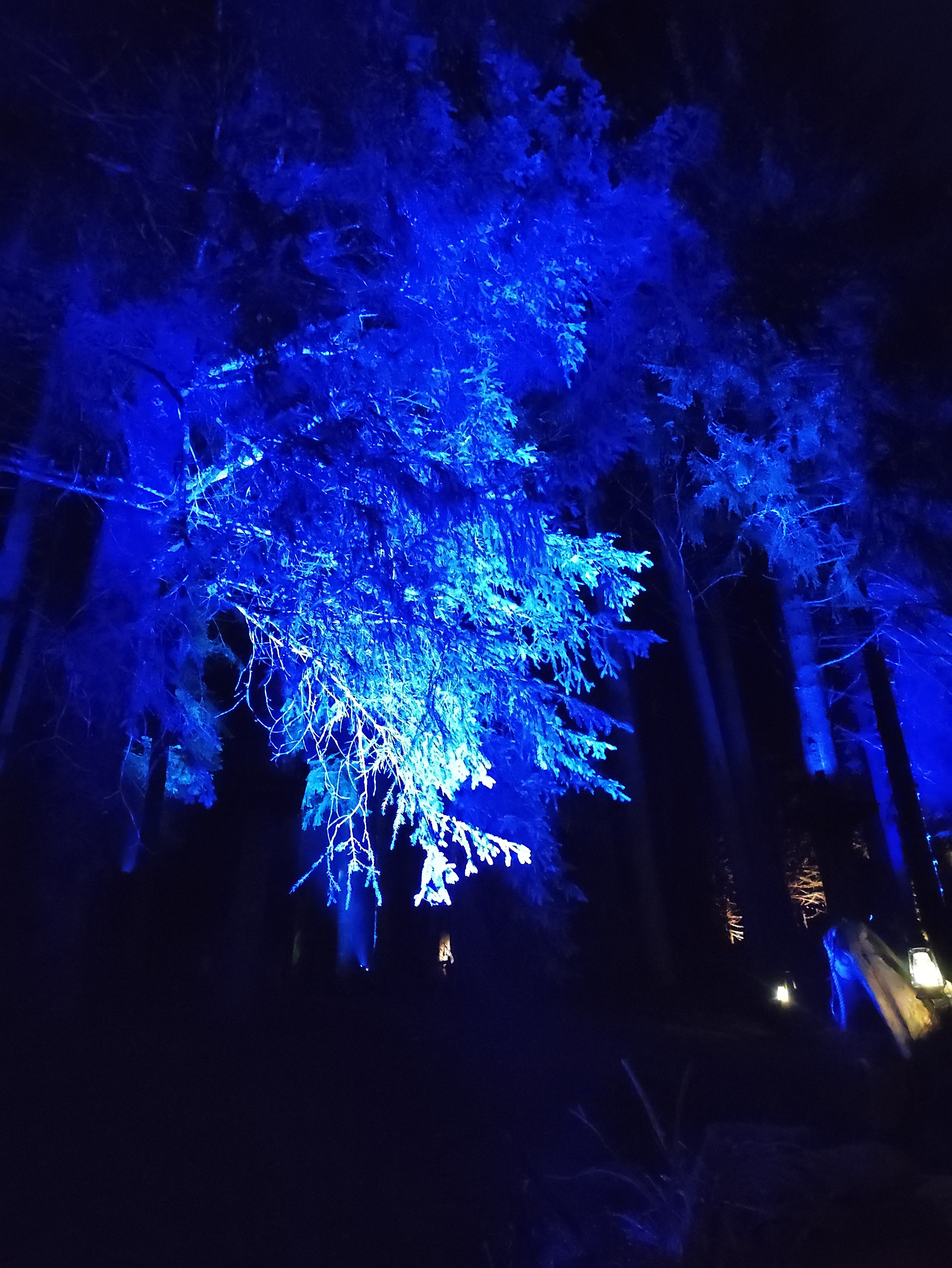 Photo n° 3 de l'avis de Jérémy.a fait le 05/08/2021 à 21:01
