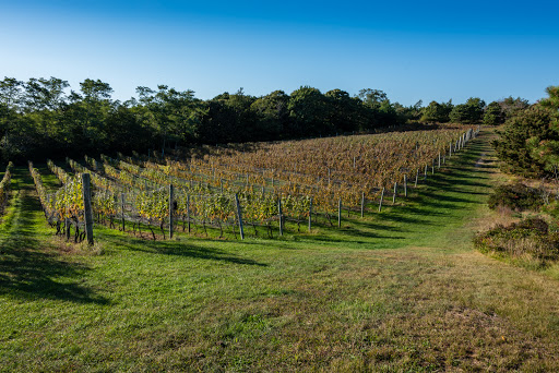 Winery «Truro Vineyards + South Hollow Spirits», reviews and photos, 11 Shore Rd, North Truro, MA 02652, USA