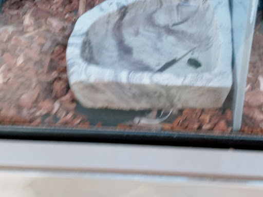 Pet Supply Store «Petco Animal Supplies», reviews and photos, 1207 S Caraway Rd, Jonesboro, AR 72401, USA