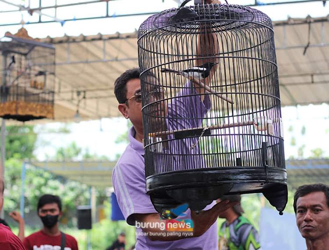 Area Pengamatan Burung di Kabupaten Sukoharjo: Mengenal Lokasi Menarik untuk Melihat Burung

Area Pengamatan Burung di Kabupaten Sukoharjo: Menjelajahi Banyaknya Tempat Pencermatan Burung

Area Pengamatan Burung di Kabupaten Sukoharjo: Mengungkap Kei...