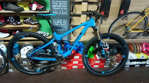 Bicycle Store «The Path Bicycle and Ride Shop», reviews and photos, 647 Cleveland St, Clearwater, FL 33755, USA