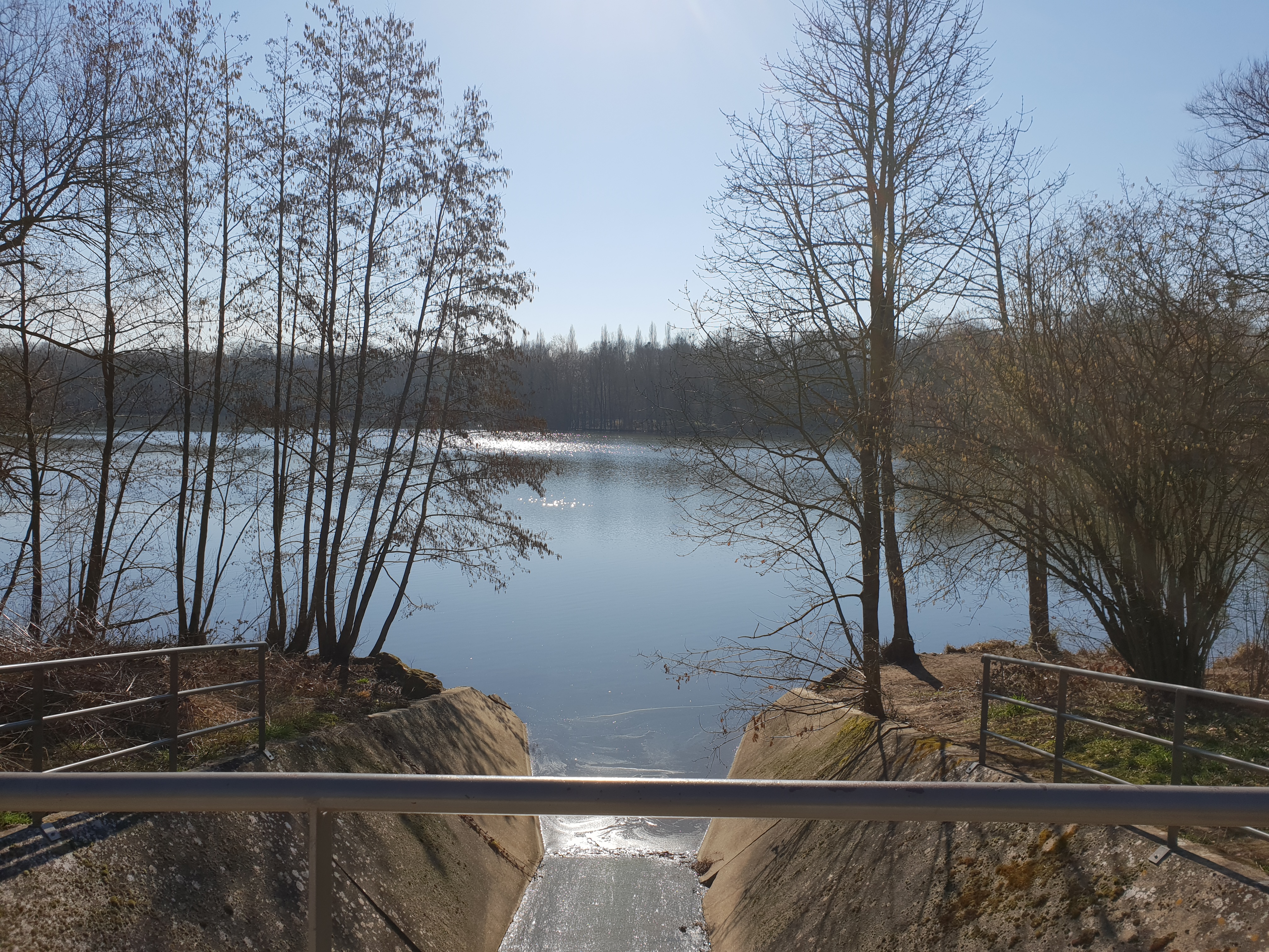 Photo n° 3 de l'avis de Francesco.i fait le 12/03/2019 à 11:29