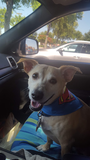 Pet Supply Store «PetSmart», reviews and photos, 860 NE Mall Blvd, Hurst, TX 76053, USA