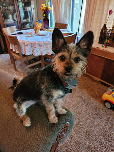 Grocery Store «Albertsons», reviews and photos, 715 12th Ave S, Nampa, ID 83651, USA