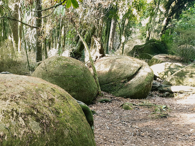Reviews of Whitecliffs Boulders in Palmerston North - Museum