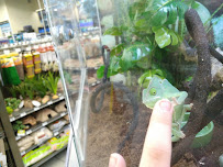 Petco - Photo 3 - Car repair in North Charleston, SC, Charleston