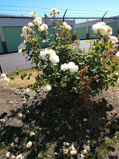 Self-Storage Facility «Extra Space Storage», reviews and photos, 2602 S 80th St, Lakewood, WA 98499, USA