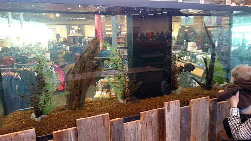 Clothing Store «L.L. Bean», reviews and photos, 280 School St, Mansfield, MA 02048, USA
