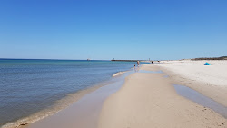 Leba Naturist Beach'in fotoğrafı geniş bir kıyı şeridi ile birlikte