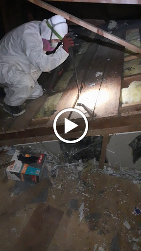 Insulation Contractor «Attic Pros INC», reviews and photos