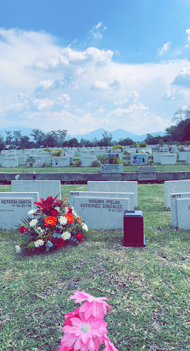 Immigration Attorney «ALISHEVA LAW», reviews and photos