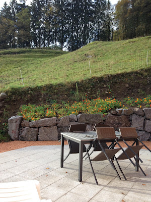 Chalet Hautes Vosges Le Meixzoté Sauna privé à Ferdrupt