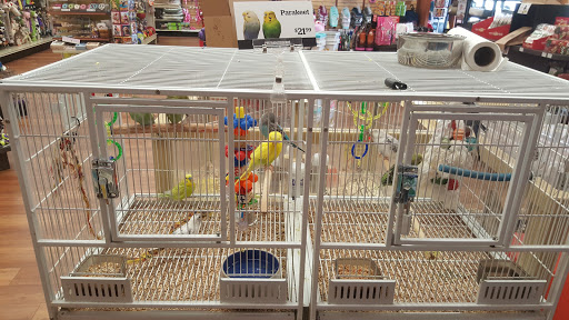 Pet Supermarket, 880 A1A N, Ponte Vedra Beach, FL 32082, USA, 