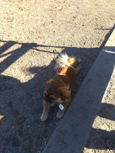 Park «Dyker Beach Park», reviews and photos, 334 Bay 8th St, Brooklyn, NY 11228, USA