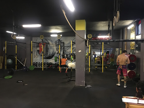 crossfit levend gym in istanbul turkey top rated online