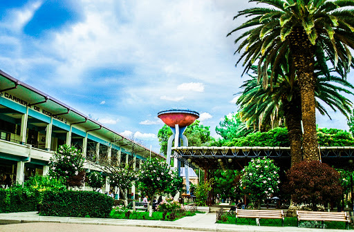 Universidad Mayor de San Simón