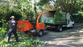 Crown Tree Surgeons ltd