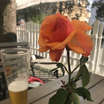 Photo n°1 de l'avis de Waldmichel1967. fait le 12/09/2020 à 11:45 sur le  Radeberger Brauerei - Ausschank à Radeberg