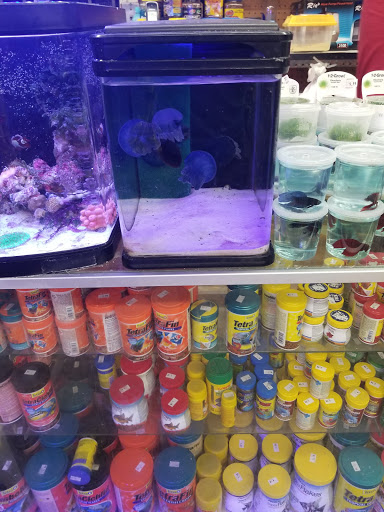 Tropical Fish Store «South Bay Aquarium», reviews and photos, 2021 W Redondo Beach Blvd A, Gardena, CA 90247, USA