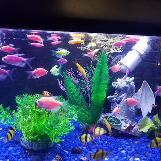 Pet Supply Store «Pet Food Center», reviews and photos, 4036 N First Ave, Evansville, IN 47710, USA