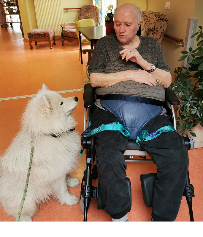 Photo n° 1 de l'avis de jacques.o fait le 20/12/2020 à 21:44