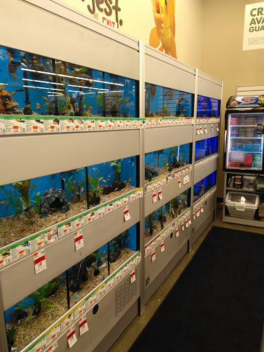 Pet Supply Store «Pet Supplies Plus», reviews and photos, 417 US-46, Dover, NJ 07801, USA