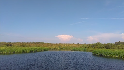 Boat Tour Agency «Alligator Cove Airboat Nature Tours», reviews and photos, 14900 Camp Mack Rd, Lake Wales, FL 33898, USA