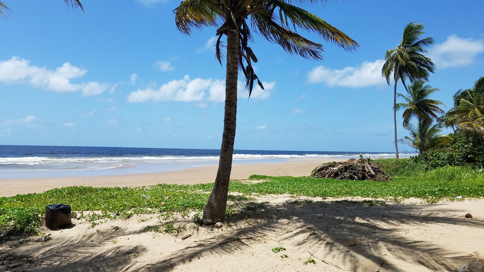 Mayaro beach的照片 带有碧绿色纯水表面