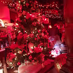 Photo n°3 de l'avis de Diana. fait le 23/12/2017 à 23:03 sur le  Oktoberfest à Fiorano Modenese