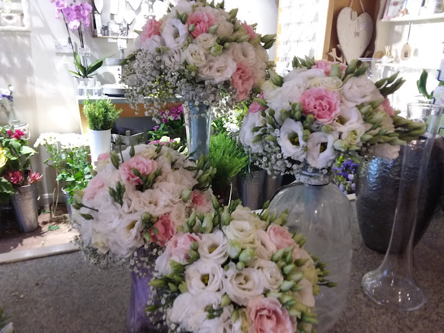 Comments and reviews of Brambles Floristry