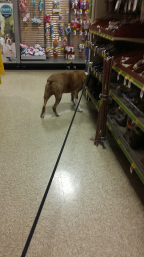 Pet Supply Store «PetSmart», reviews and photos, 5151 E 82nd St, Castleton, IN 46250, USA