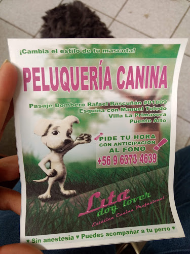 Peluqueria Canina Lita Dog Lover - Peluquería