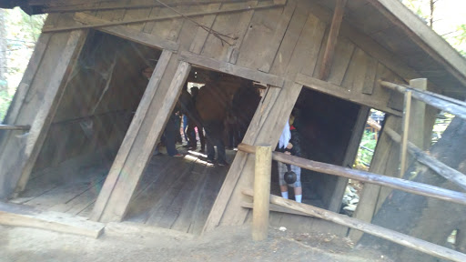 Tourist Attraction «Oregon Vortex», reviews and photos, 4303 Sardine Creek L Fork Rd, Gold Hill, OR 97525, USA