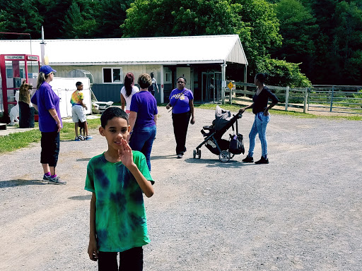 Farm «Dakota Ridge Farm», reviews and photos, 189 E High St, Ballston Spa, NY 12020, USA