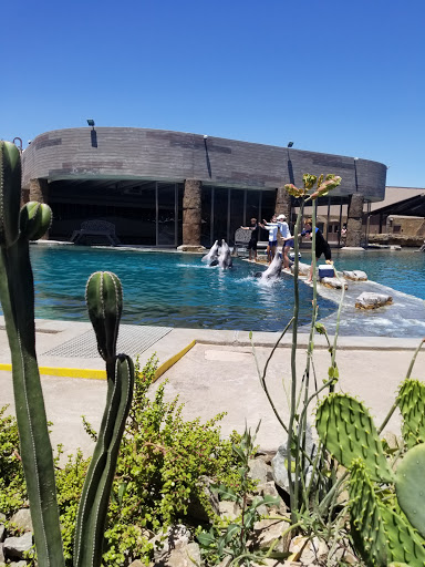 Tourist Attraction «Dolphinaris Arizona», reviews and photos, 9500 East Vía de Ventura, Scottsdale, AZ 85256, USA